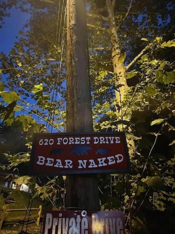 Bear Nakid Villa Pigeon Forge Exterior foto